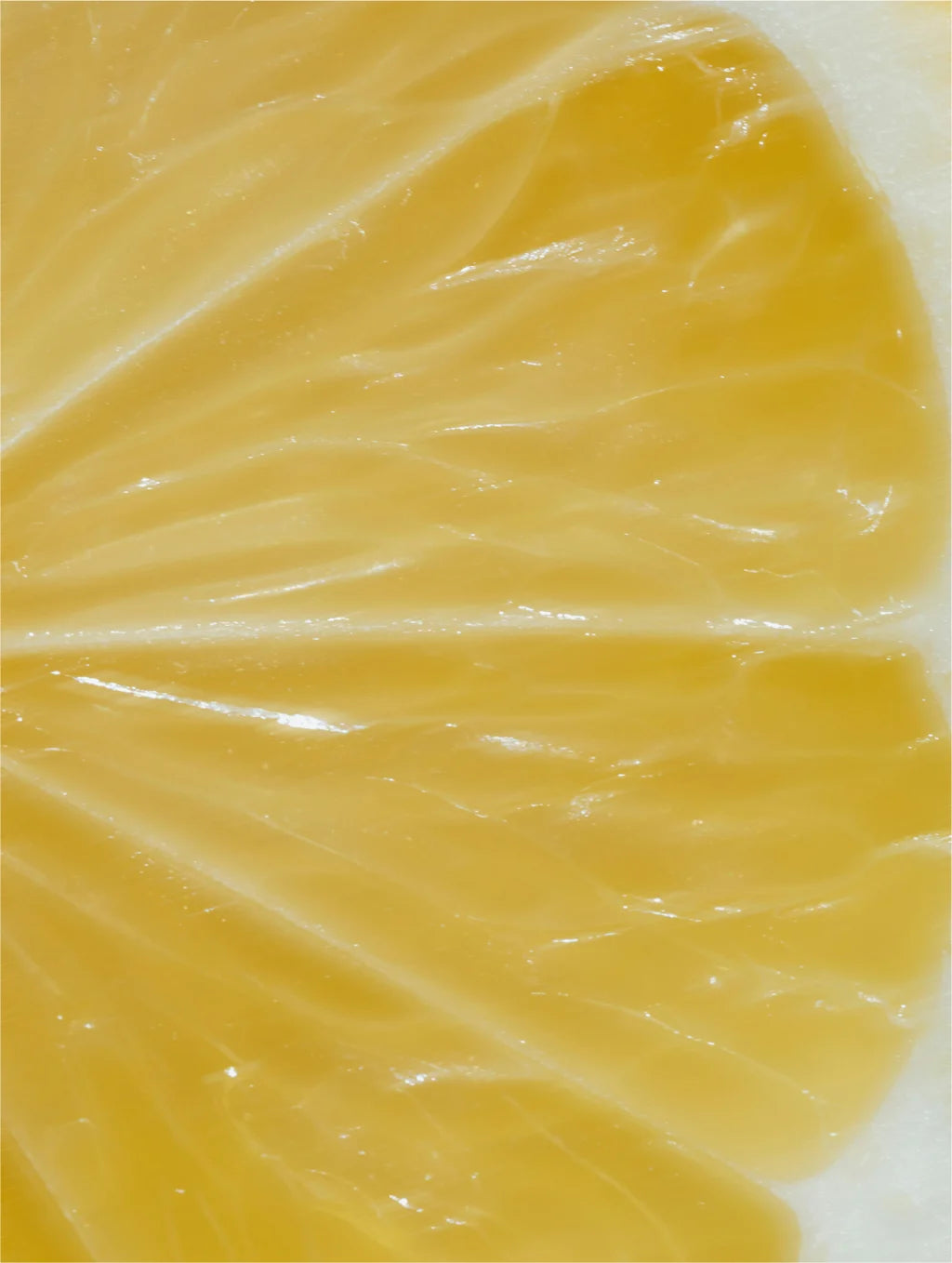 Vitamin C Serum - 30 ml / 1.01 fl oz